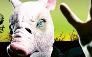 Ferma animalelor – George Orwell. Comuniștii sunt porci
